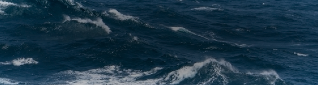 Limiting Our Ecological Footprint