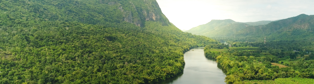 Pursuit of sustainability - banner