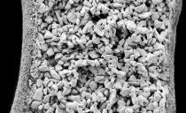Filtration-Deadend-photo7