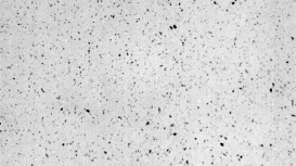 Saint Gobain Specialty Ceramics' products allow customers to solve tough problems in thermal and chemical processing, industrial metrology, temperature sensing, brazing, mechanical seals, semi-conductor processing, sandblasting, and renewable energy generation applications.