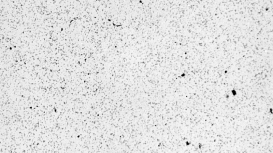 Saint Gobain Specialty Ceramics' products allow customers to solve tough problems in thermal and chemical processing, industrial metrology, temperature sensing, brazing, mechanical seals, semi-conductor processing, sandblasting, and renewable energy generation applications.