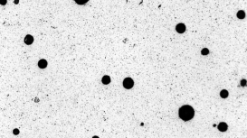 Saint Gobain Specialty Ceramics' products allow customers to solve tough problems in thermal and chemical processing, industrial metrology, temperature sensing, brazing, mechanical seals, semi-conductor processing, sandblasting, and renewable energy generation applications.