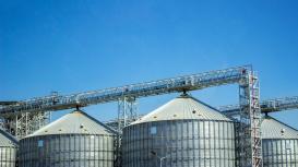 Wear-Resistance-fond-grains-GettyImages-820997556