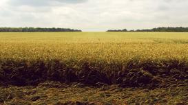 energy, fertilizer, field, wear resistance