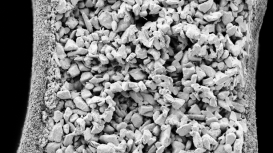 Filtration-Deadend-photo7