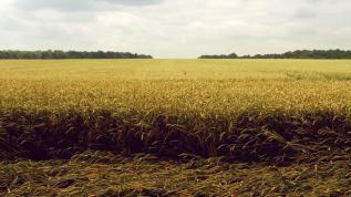 energy, fertilizer, field, wear resistance