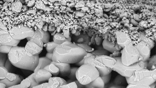 Crystar® filtration technology (FT) and air filtration technology (aFT) are engineered using silicon carbide (SiC), an outstanding ceramic material with a myriad of advanced mechanical, thermal, and chemical properties.