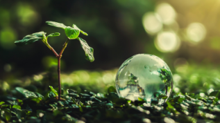 Sustainable solutions