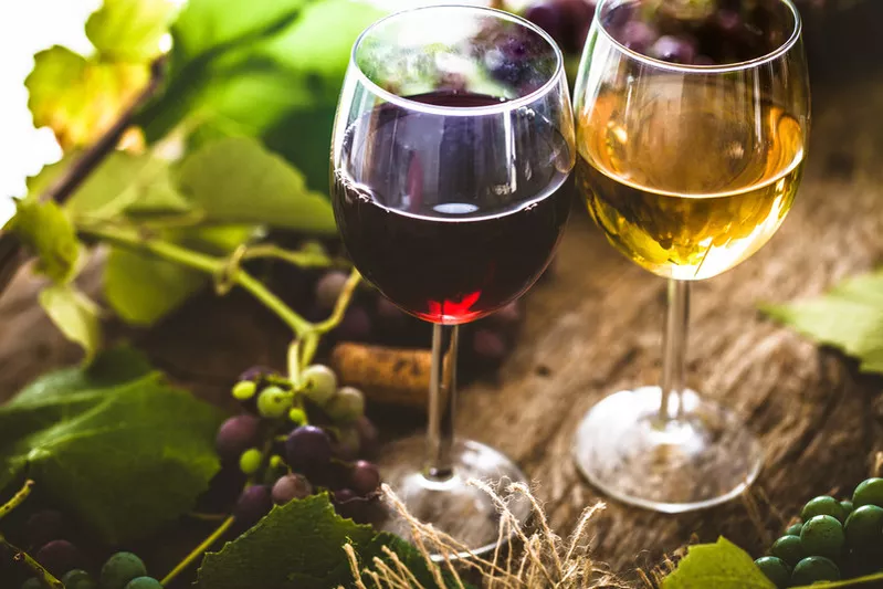 Filtration-wine-photo7